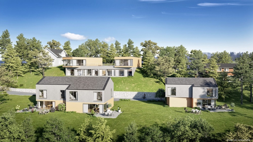 Image Villas à St-Légier-La-Chiésaz